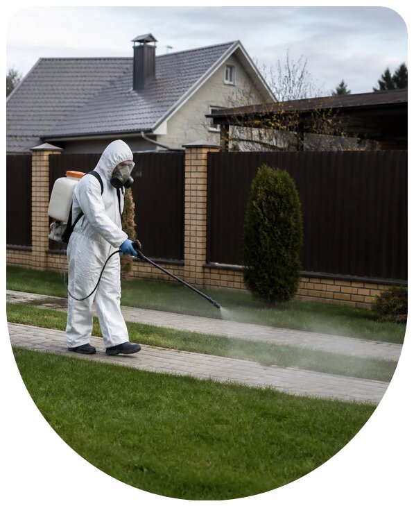 Профессиональная дезинфекция участка с гарантией в Воронеже